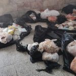 Decomiso en Holguín: Pareja Arrestada por Tráfico de 121 kg de Carne de Especies Protegidas Desata Alarma Ambiental en Cuba