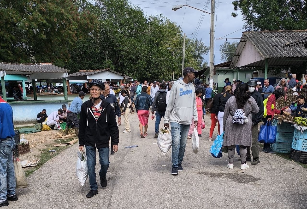 Olas de Frío sin Precedentes y Tensiones Políticas Sacuden Cuba: Mínimos Históricos y Fracturas Culturales