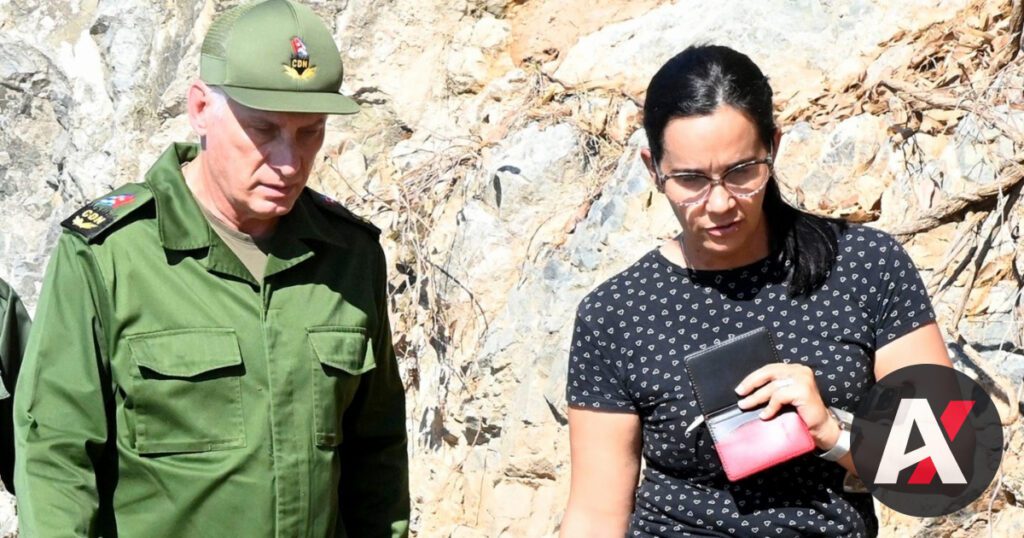 El ‘Poema’ a Díaz-Canel: Elogio Oficialista y Distanciamiento de la Realidad Cubana