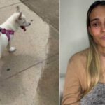 Una mujer cubana muestra un cartel con la foto de su perra husky robada en La Habana, reflejando la creciente inseguridad en la isla.